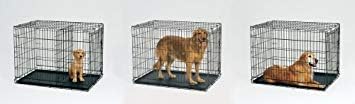 MidWest Homes for Pets Medium Dog Crate | Midwest Life Stages 30' Folding Metal Divider Panel,Floor Protecting Feet,Plastic Tray 30L x 19W 21H Inches,Breed