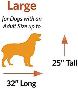 MidWest Homes for Pets Large Dog Crate | Midwest Life Stages Folding Metal Dog Crate | Divider Panel, Floor Protecting Feet, Leak-Proof Dog Pan | 42L x 28W x 31H Inches, Large Dog