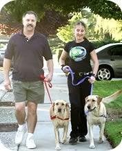 Softouch Sense-ation No-Pull Dog Harness (Red, Extra Large)