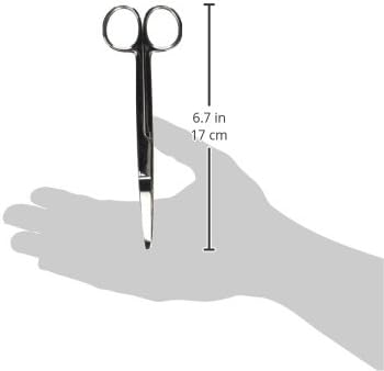 Surgical Scissors S/B 6.5-Inch Curved Stainless Steel Curved Beveled Edge
