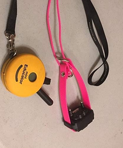 Sparky Pet Co- Surefit ECollar Replacement Strap -Bungee Dog Collar Waterproof -Adjustable-Secure Nexus Wheel Lock-for Electronic Training & Invisible Fence Systems -3/4"(Reflective Orange)