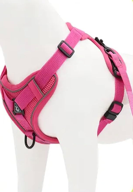 Harness for Dogs & Cats - S. M. L. XL, Nylon, Adjustable Buckle Pet Vest with Matching Leash (Pink, Extra Large)