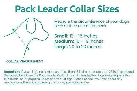 Cesar Millan Pack Leader Collar™ - Training Collar of The Dog Whisperer (Large, Blue)
