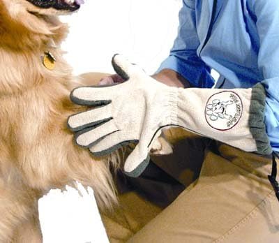 Pet Grooming Gloves for Dogs with Loop - Made of Microfiber Fabric - Efficient Cleaner for Muddy Paws - Protects Floors, Furniture, and Vehicles from Dirt Marks