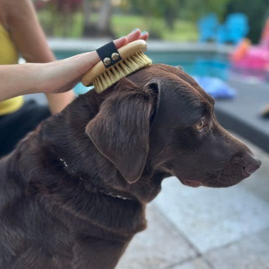 Premium Bamboo Palm Brush for Dogs and Cats Grooming - Brush for Dogs and Cats with Short Hair - Massage Dogs and Cats Brush
