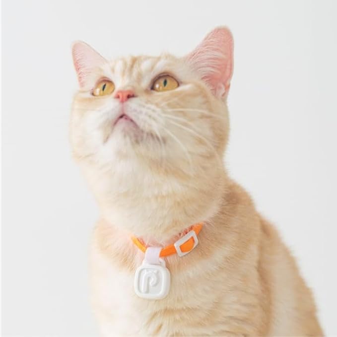 LavvieTAG with 2 Straps Charger & Scanner Set | Smartwatch for Cat ID Tag Light Activity Analysis Heath Care App Integration Monitor Fitness Tracker (Charger&Scanner Included)