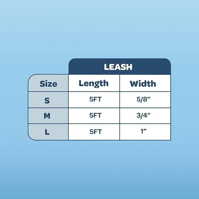 Voyager Reflective Dog Leash with Neoprene Handle, 5ft Long, Supports Small, Medium, and Large Breed Puppies, Cute and Heavy Duty for Walking, Running, and Training - Fuchsia (Leash), L