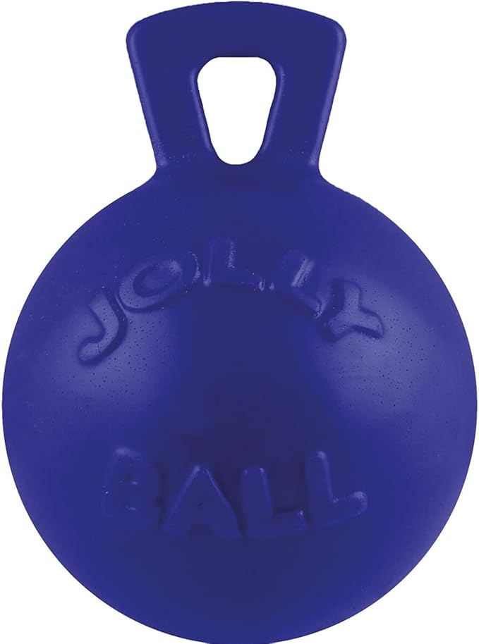 Jolly Pets Tug-n-Toss Heavy Duty Dog Toy Ball with Handle, 4.5 Inches/Small, Purple