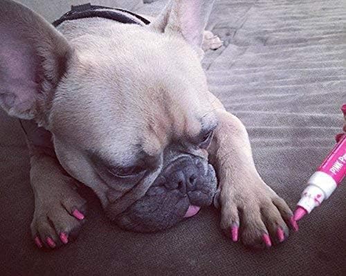 Warren London Pawdicure Dog Nail Polish Pens | Made in USA | Quick Dry, Low Odor, Non-Toxic Dog Accessories | Ideal for Dog Birthday, Dog Costume | Dries in Under 1 Minute | 13 Colors | Pink