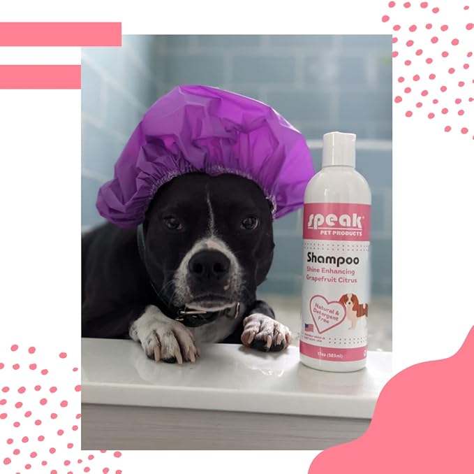 Shine Enhancing Dog Shampoo, Grapefruit Citrus, 17 Ounces