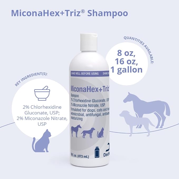 Shampoo for Dogs, Cats and Horses, 16 oz