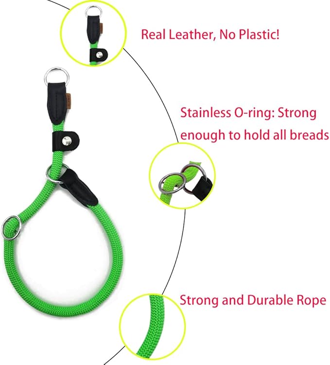 Braided Rope Collar, Training Dog Collar, Round Martingale Collar, Slip Collar with Adjustable Stopper and Slidable Stop Ring - Ideal for Small Dogs (S(1/4") - 14" Long, Light Green)