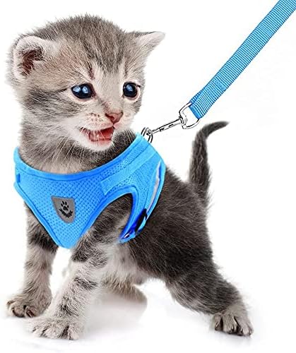 FEimaX Dog Harness and Leash Set for Walking, Soft Mesh Adjustable Easy Control Lightweight Cat Vest Harnesses with Reflective Strips, Escape Proof Small Dogs Cats Vests (Azure, Medium)