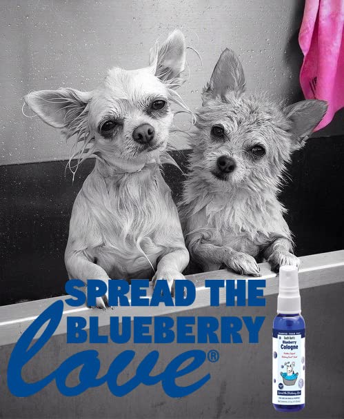 South Bark's Original Blueberry Pet Cologne 2.5 oz. For Dogs | Long-Lasting Odor Eliminator | Made in USA | Same Scent As The Famous Blueberry Facial®
