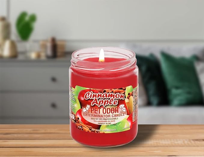 Pet Odor Exterminator Cinnamon Apple Candle - 13 oz, Pack of 2