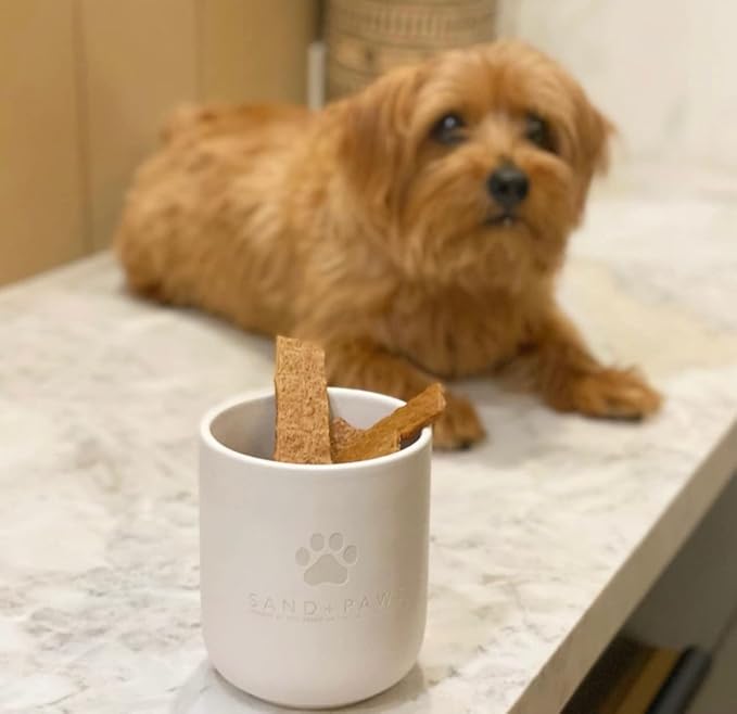 Sand + Paws Scented Candle - Ocean & Sea Salt - Additional Scents and Sizes –Luxurious Air Freshening Jar Candles Neutralize pet Odors and Enhance Home décor – 100% Cotton Lead-Free Wicks - 12 oz