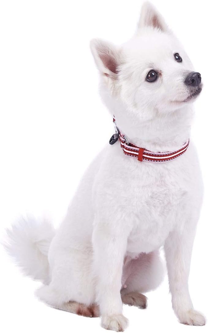 Blueberry Pet 3M Reflective Dog Collars | Adjustable Dog Collar w/Multi-Colored Stripe - Marsala Red and Pink | Nylon Pet Collars for Dogs & Refflective Dog Collar for Large Dogs