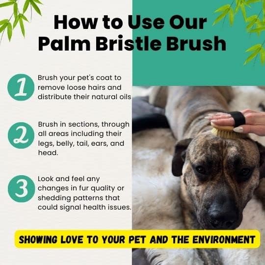 Premium Bamboo Palm Brush for Dogs and Cats Grooming - Brush for Dogs and Cats with Short Hair - Massage Dogs and Cats Brush