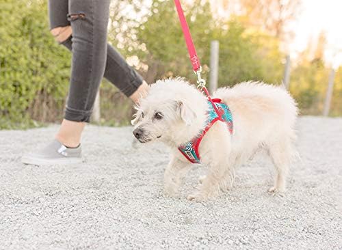 RC Pet Products Step in Cirque Dog Harness, X-Large, Maldives