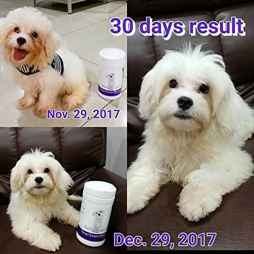 Healthy Breeds Australian Shepherd Tear Stain Wipes 70 Count (Pack of 2)