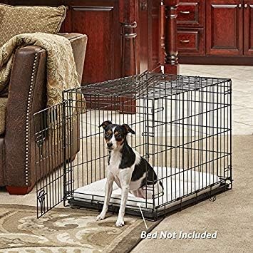MidWest Homes for Pets Medium Dog Crate | Midwest Life Stages 30' Folding Metal Divider Panel,Floor Protecting Feet,Plastic Tray 30L x 19W 21H Inches,Breed