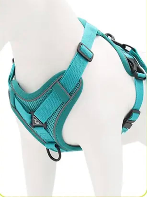 Harness for Dogs & Cats - S. M. L. XL, Nylon, Adjustable Buckle Pet Vest with Matching Leash (Blue, Medium)