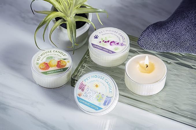 One Fur All Pet House Mini Candle - Falling Leaves 3 Pack - Pet Odor Eliminator Mini Candle - Natural Wax Candle - Mini Candle Set - Pet-Friendly Non-Toxic Scented Candle