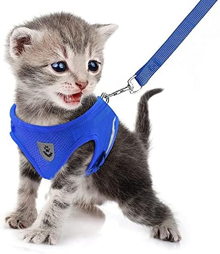 FEimaX Dog Harness and Leash Set for Walking, Soft Mesh Adjustable Easy Control Lightweight Cat Vest Harnesses with Reflective Strips, Escape Proof Small Dogs Cats Vests (Blue, X-Small)