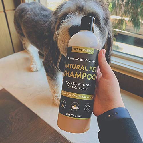 Natural Oatmeal Dog Shampoo with Enhanced Odor Control, 24 Ounces