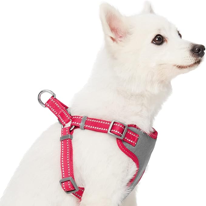 Blueberry Pet Essentials Pastel Color Reflective Dog Harness Vest, Chest Girth 29" - 38.5", Very Berry, Large, Adjustable Harnesses for Dogs