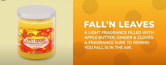 Pet Odor Exterminator Candle, Fall 'N Leaves - Pack of 2