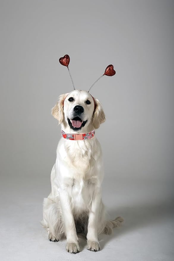 Lionet Paws Valentine Day Dog Collar, Heavy-Duty Cute Red Heart Pattern Fabric Pet Collar with Metal Buckle Necklace for Medium Large Gift, Neck 16-24 inches