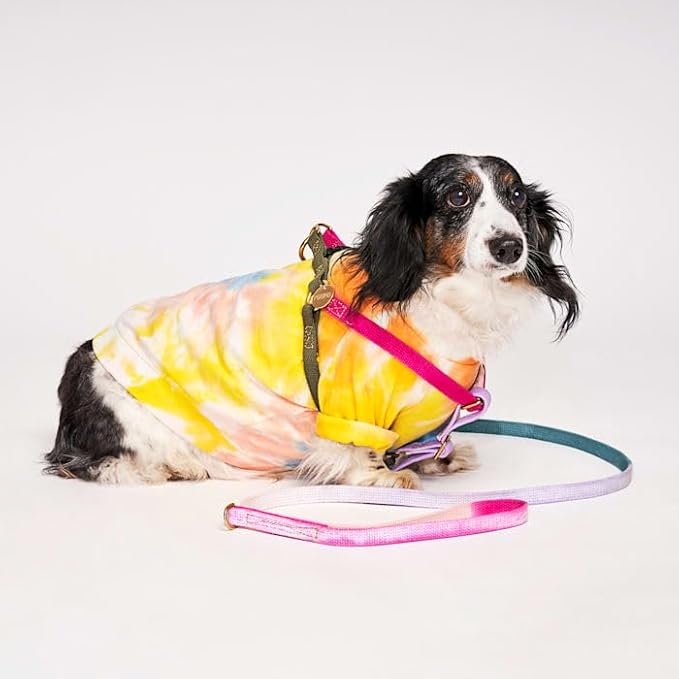 FOUND MY ANIMAL - The Original Jolie Webbing Cotton Cat & Dog Harness (Small) - Hand Dyed & Crafted Dog Harness - Adjustable, Pet Harness with Solid Brass Rings & Buckle Dog Training Harness