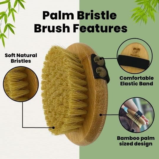 Premium Bamboo Palm Brush for Dogs and Cats Grooming - Brush for Dogs and Cats with Short Hair - Massage Dogs and Cats Brush