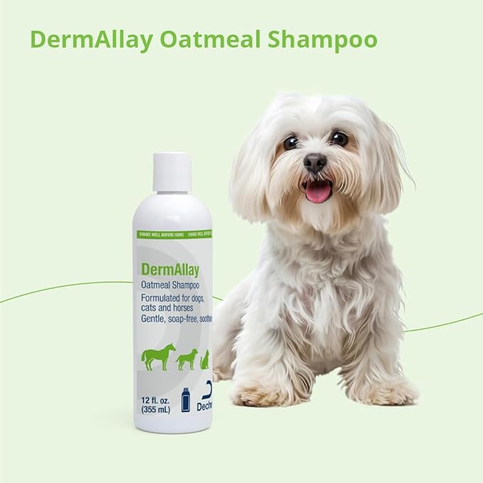 Oatmeal Shampoo, 12 Ounce