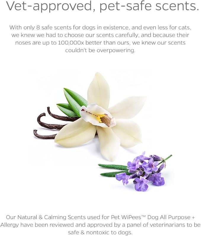 Pet Parents® Pet WiPees™ Dog All Purpose + Allergy Dog Wipes, Pet Wipes for Dogs, Puppy Wipes & Paw Wipes, Large Dog Wipes (100 Count (Pack of 2), Natural)