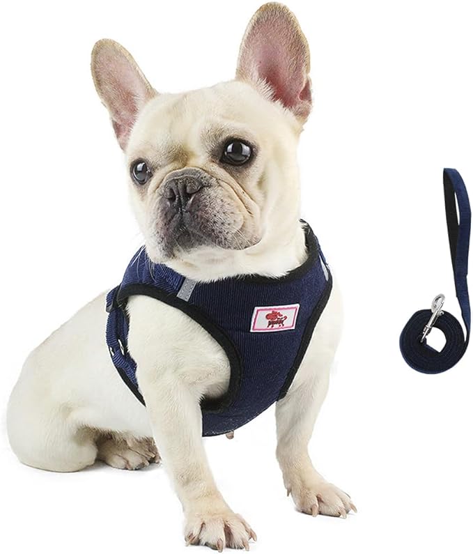 FEimaX Dog Harness and Leash Set, No Pull Reflective Adjustable Pet Harnesses for Puppy Kitten Soft Corduroy Chest Harness for Small Medium Dogs and Cats Easy Control Vest for Outdoor Walking