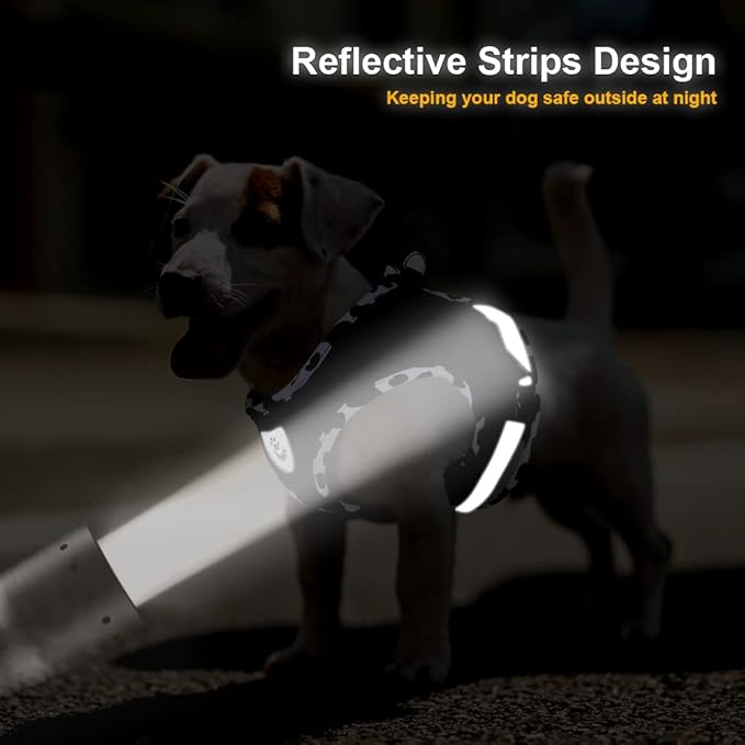 FEimaX Dog Harness and Leash Set for Walking, Soft Mesh Adjustable Easy Control Lightweight Cat Vest Harnesses with Reflective Strips, Escape Proof Small Dogs Cats Vests