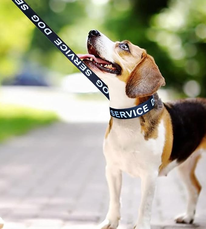 MayPaw Service Dog Collar, 1” and 1.5” Wide Dog Collar Strong Nylon Medium Large Extra-Large Dog Collar (Neck Fit 14-22",1" Wide, Black)