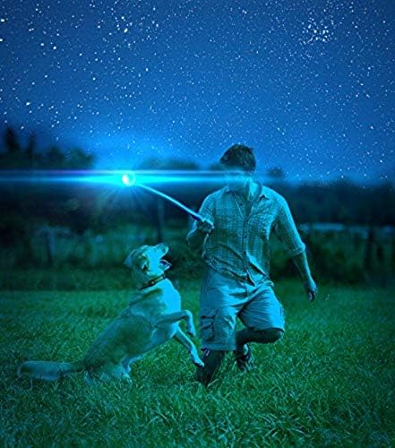 Chuckit! Max Glow Ball Dog Toy, Small (2 Inch Diameter) for dogs 0-20 lbs, Pack of 1