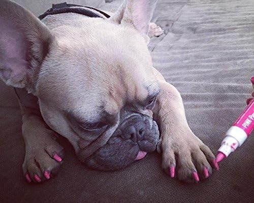 Warren London Pawdicure Dog Nail Polish Pens | Made in USA | Quick Dry, Low Odor, Non-Toxic Dog Accessories | Ideal for Dog Birthday, Dog Costume | 13 Colors | Neon Orange
