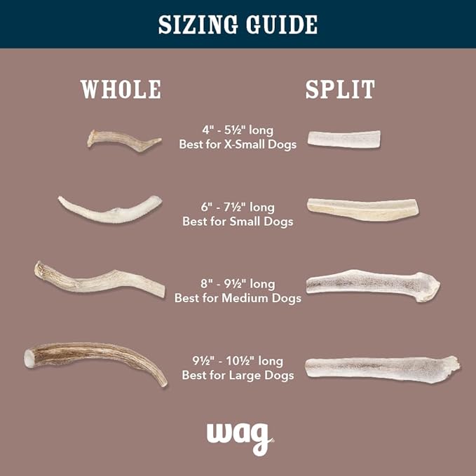 Amazon Brand - Wag Elk Antler - Whole - Small 4-5.5 inches (Best for Dogs Under 15 lbs), 0.70 Ounce (Pack of 2)