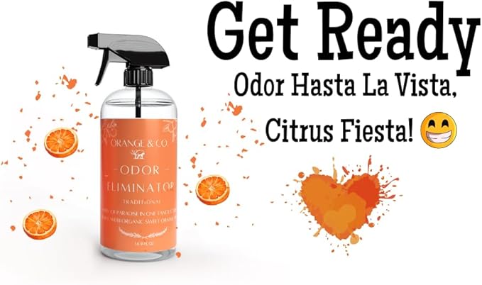 Orange & Co. Traditional Pet Odor Eliminator - Strong Citrus Formula for Stubborn Dog and Cat Pee Odors on Carpet, Furniture, and Indoor/Outdoor Floors - Deodorizer - 16 Fluid Ounces - Puppy Supplies