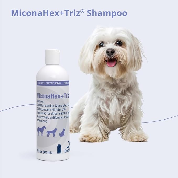 Shampoo for Dogs, Cats and Horses, 16 oz