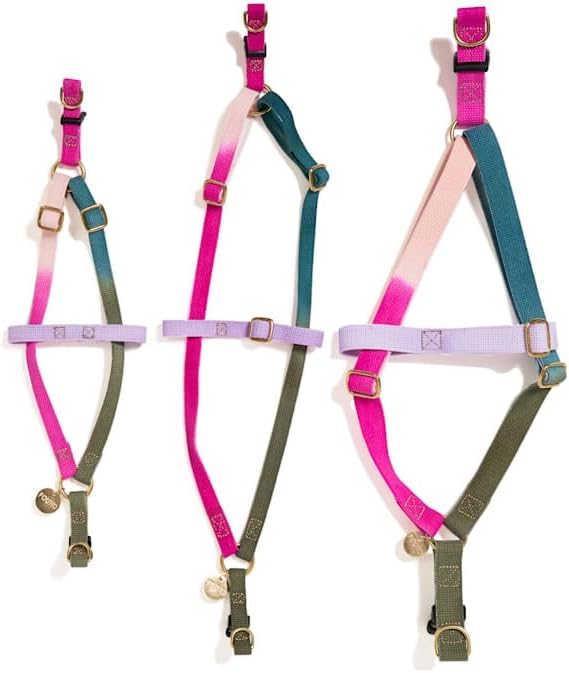 FOUND MY ANIMAL - The Original Jolie Webbing Cotton Cat & Dog Harness (Small) - Hand Dyed & Crafted Dog Harness - Adjustable, Pet Harness with Solid Brass Rings & Buckle Dog Training Harness