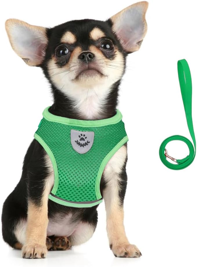 FEimaX Dog Harness and Leash Set for Walking, Soft Mesh Adjustable Easy Control Lightweight Cat Vest Harnesses with Reflective Strips, Escape Proof Small Dogs Cats Vests
