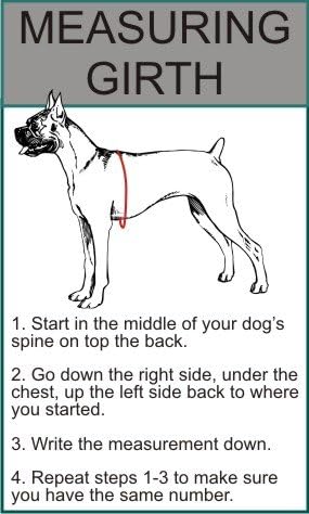Blind Dog Nylon Strap Service Dog Harness No Pull Guide Assistance Comes with 2 Reflective Blind Dog Removable Patches. Please Measure Your Dog Before Ordering.
