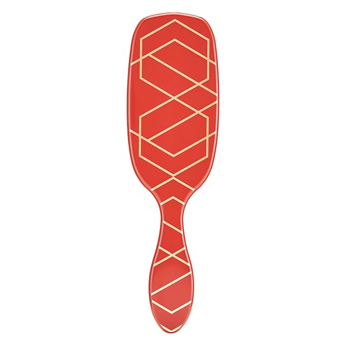 Wet Brush Shine Enhancer Paddle Brush, Terracotta - Hair Detangler Brush with Ultra Soft Bristles, Infused With Natural Argan Oil, Shiny Detangle & Smooth Hair, Wet or Dry, For All Hair Types