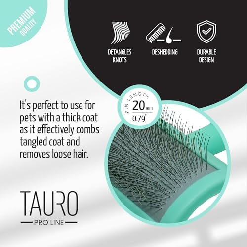 Dog Brush for Shedding Long and Short Hair, Plastic Soft Slicker for Grooming Haired Dogs and Cats, Flexible Cushion and Non-Slip Grip, Rectangular, 4,13 x 6,29 inch, Mint