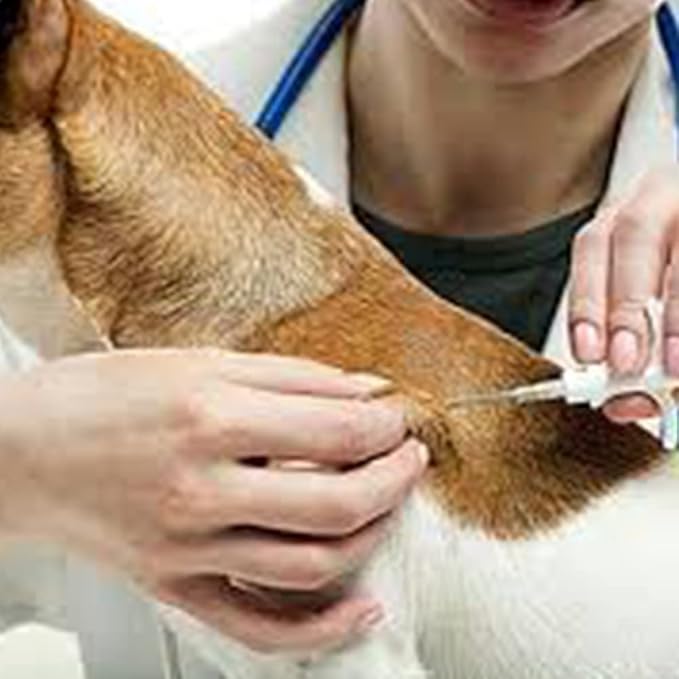 YANZEO 200Pcs 1.25x7mm Pet Microchip 134.2khz FDX-B/ISO11784/ISO11785 Animal Implant Chip Pet ID Microchip for Dog Cat Sheep Cow Pig Mice Rat,Guinea Pig,Laboratory Animals,Free Lifetime Registration